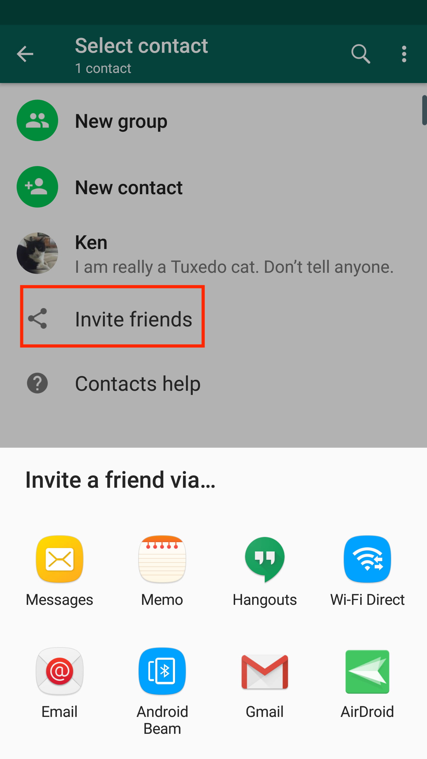 How to add people on whatsapp